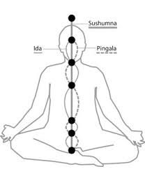 CHAKRAS