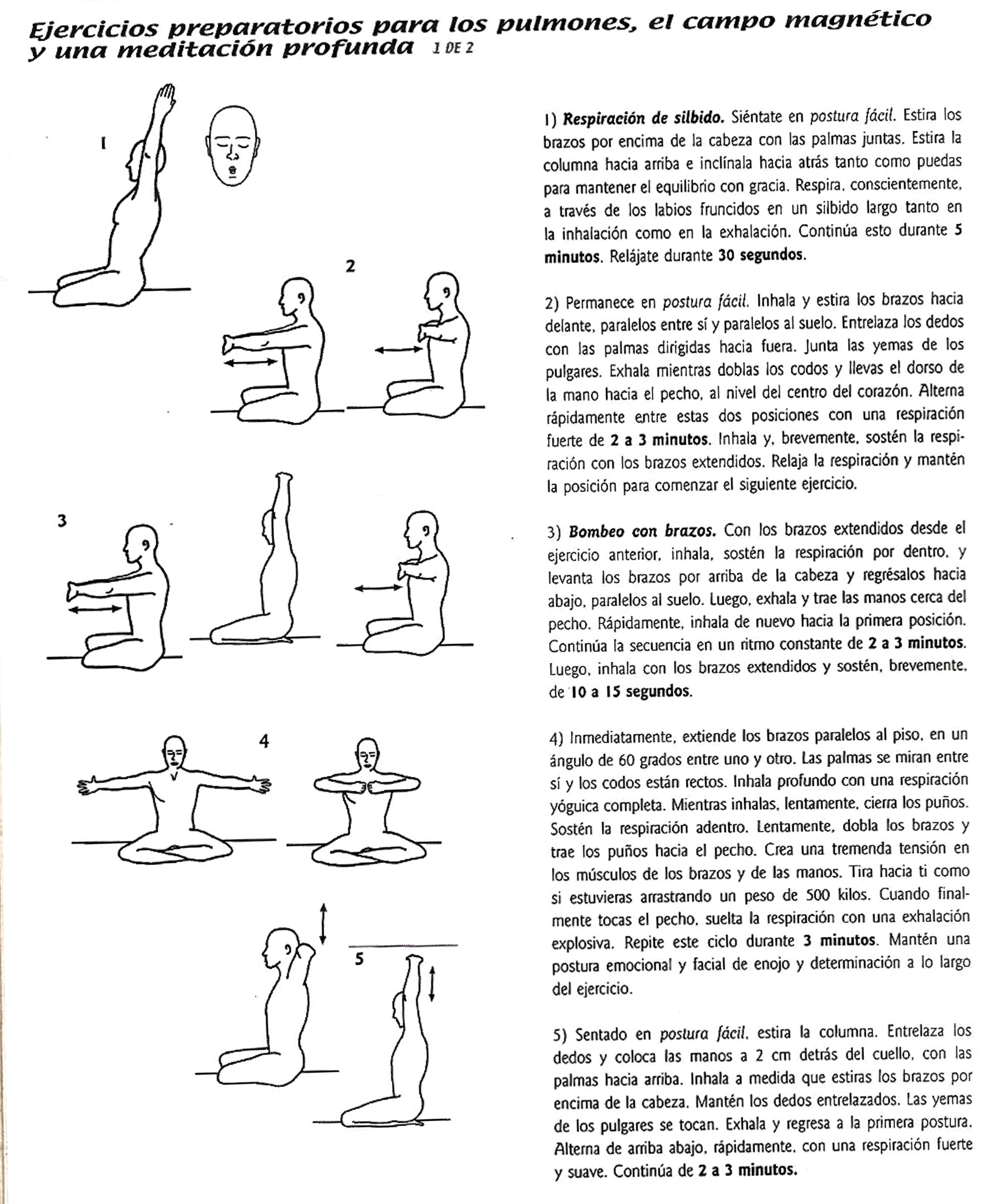 Pulmones_campo magnetico_meditacion profunda
